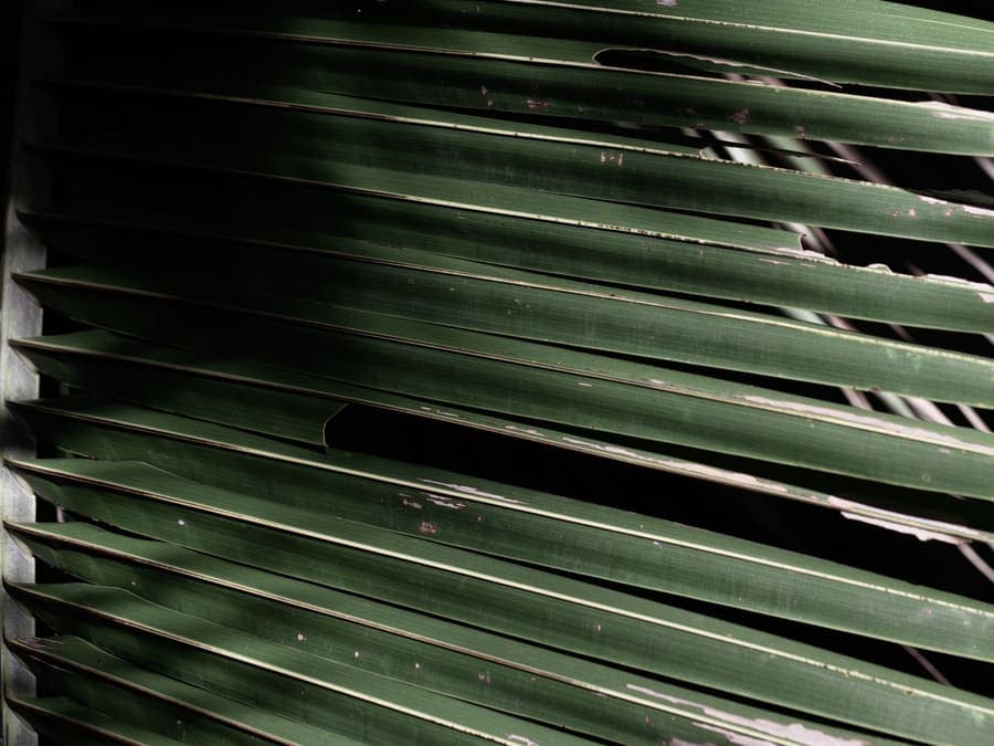 Insect Screens