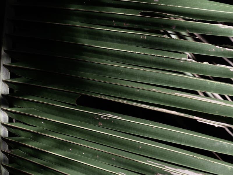 Pull-Down Mesh Screen